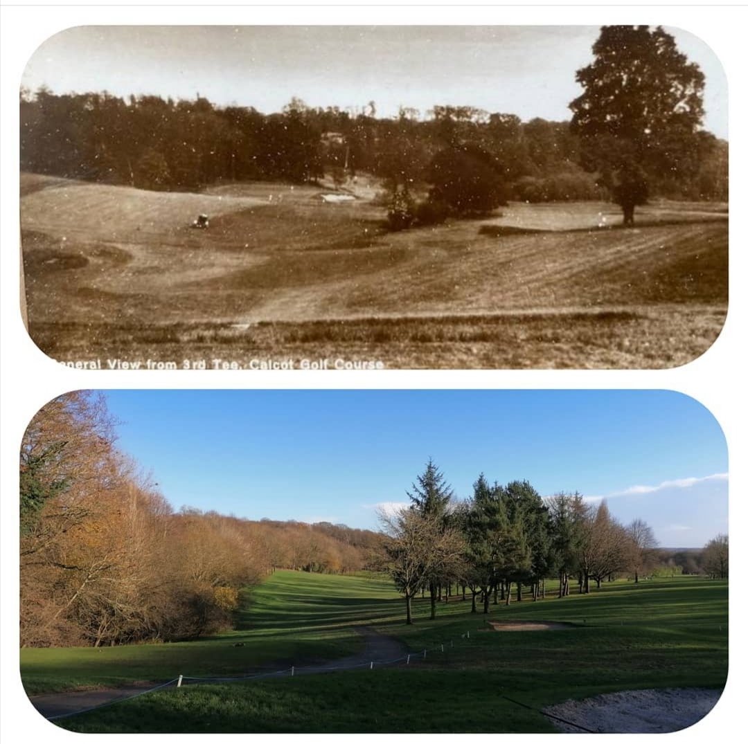 ReBirthOfCalcot's tweet photo. View from the 3rd tee at Calcot Park. It's amazing how bad woodland management can completely change a holes topography https://t.co/mqBrhqKfTY