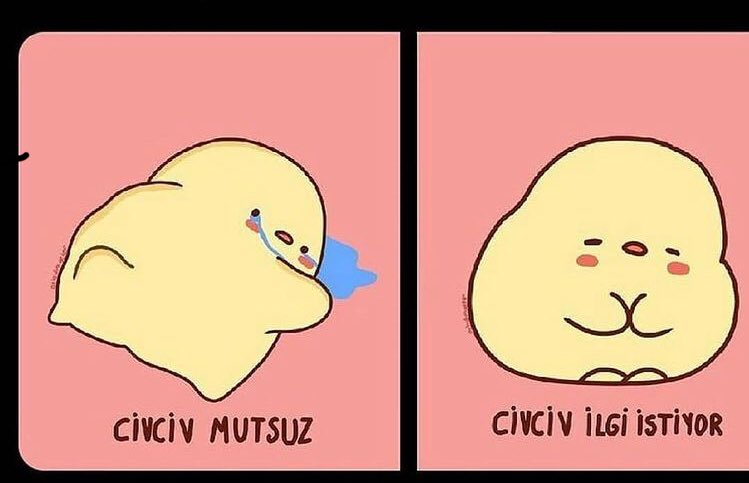CİVCİVMİŞİM BEN