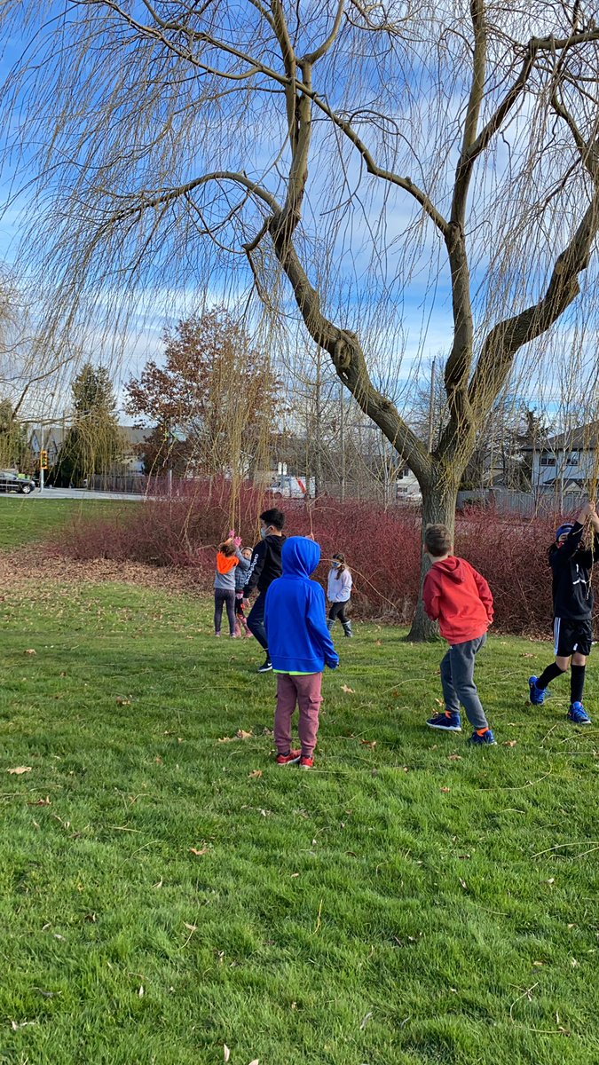 Soft Start outside on a sunny day! We learned we can swing on willow trees! #deltalearnsoutside