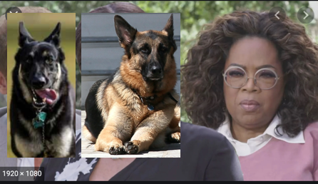 Ready for Champ and Major's side of the story. #majorbiden