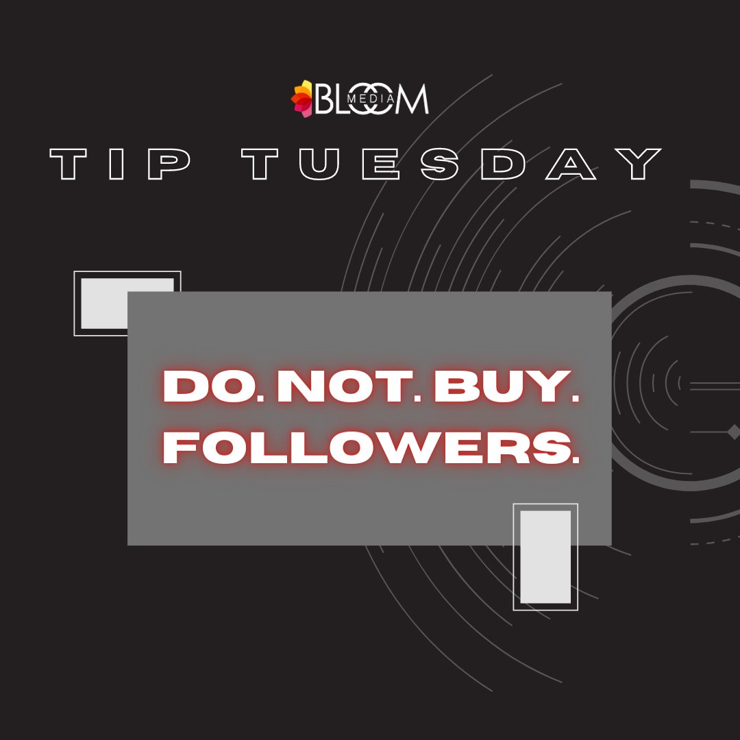 bloommediamktg's tweet photo. We see you &amp; we know who you are! How is it that we know, you might ask? Your follower to likes ratio doesn't quite add up 🧐

Buying your followers may seem like a quick way to boost your engagement, but in the long run it's actually going to hurt your performance. #TipTuesday https://t.co/itxCCwYTCy