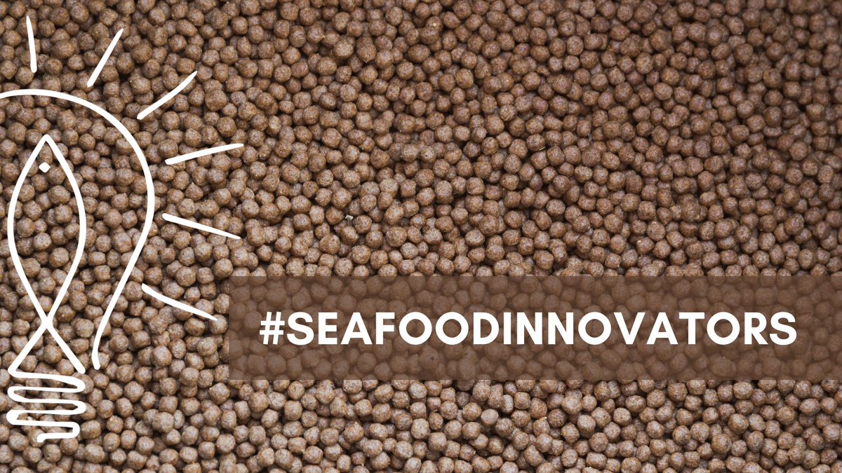 From crop-waste ➡ fish food. Using #agricultural by-products such as straw 👨‍🌾  #SeafoodInnovators <a href="/biokindfeed/">Biokind</a> are looking to #innovate a highly scalable protein alternative for use in #aquaculture feed - crucially investigating its economic viability 👉 seafoodinnovation.fund/projects/crop-…