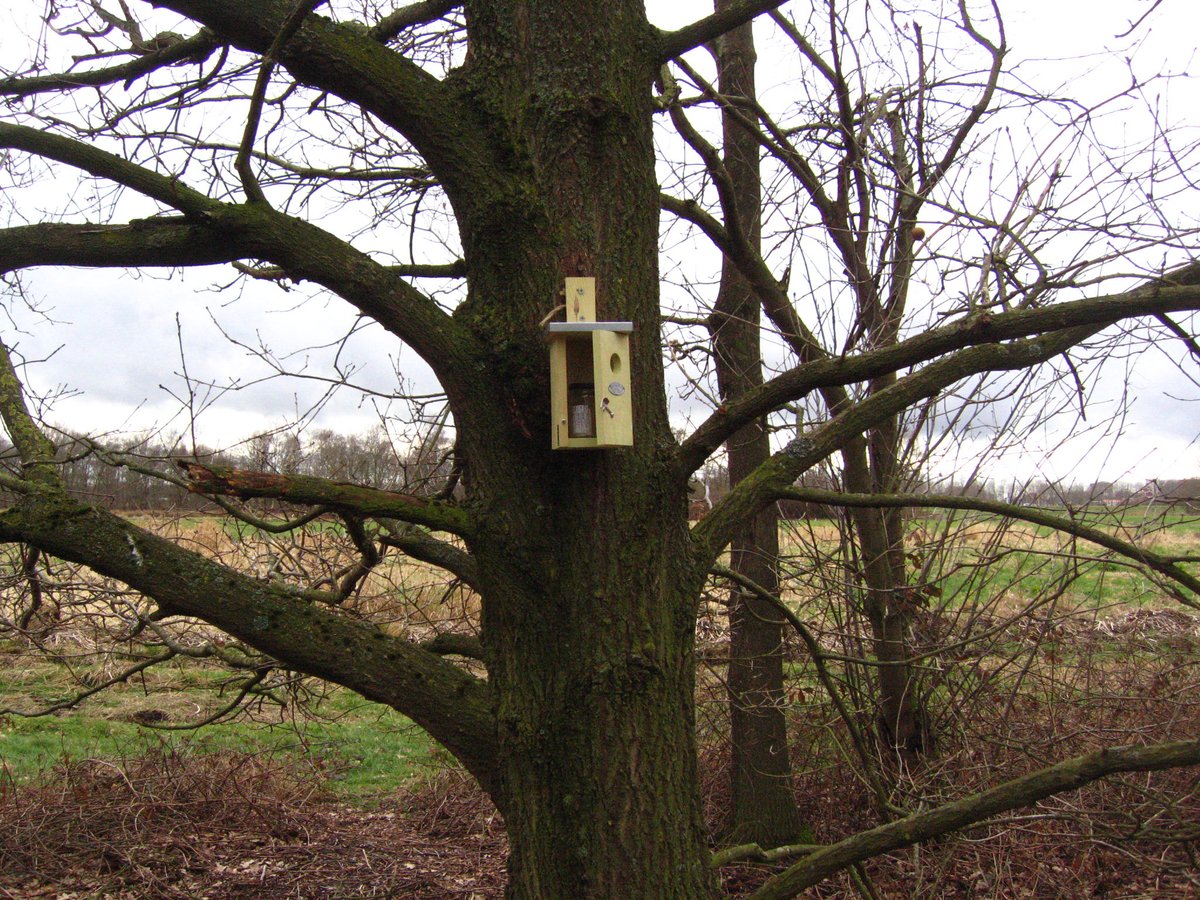 Angelfish888 tweet media