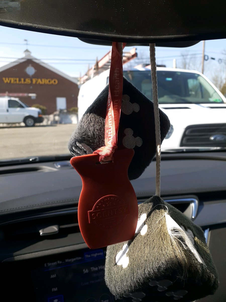 wicklesschickx's tweet photo. My car smells amazing 🥰 https://t.co/Q6mraEHEFn