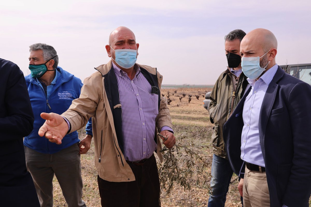 Cs_Toledo's tweet photo. 🐇 La plaga de conejos y el abandono de los campos está echando a perder las cosechas y arruinando a los agricultores de Villacañas

📸 Nuestros diputados @MZapataDavid y @JulioComendador han visitado los terrenos afectados para buscar soluciones a este grave problema https://t.co/iPlO8X1a8n