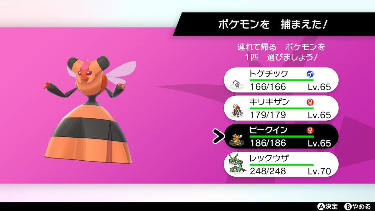 どんちゃん 今日の収穫 ポケモン剣盾 色違いポケモン どんちゃん 今日の収穫 ポケモン剣盾 色違いポケモン