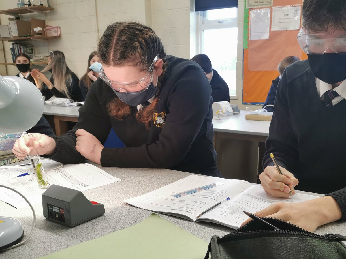 ScienceHCCS1's tweet image. This week year 10 are very happy to finally be hands on with their science and complete a required practical on investigating photosynthesis.
Learn more here: bbc.co.uk/bitesize/guide…
#hccslearning #hccs #hccsscience #gcsescience #gcsebiology #science  #ks4science