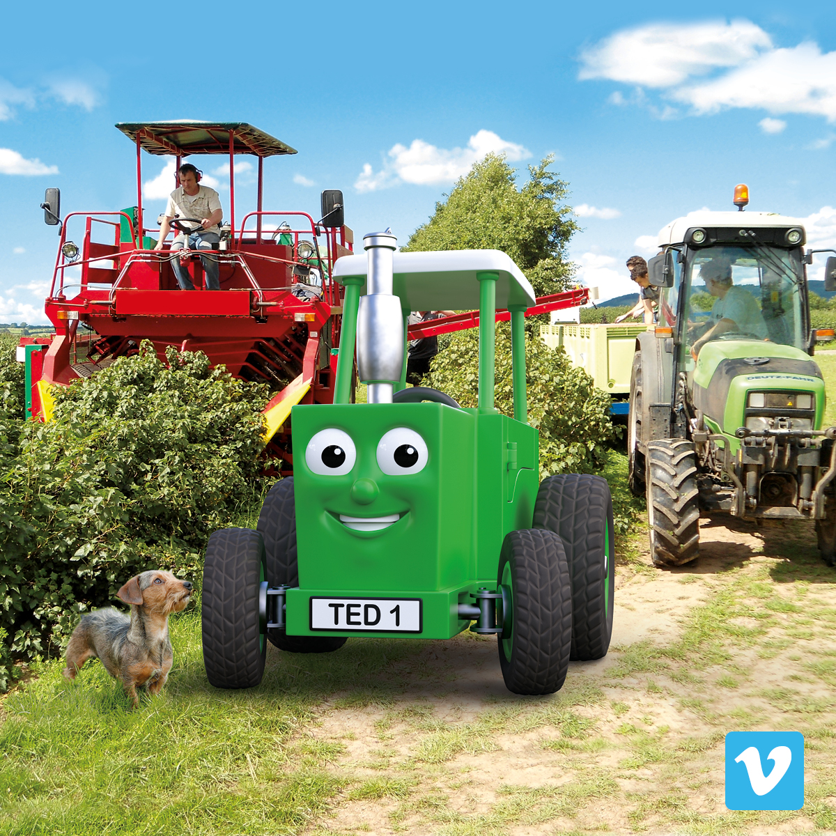 Mother's Day Treat! - mailchi.mp/tractorted.co.… This week is all about #LoveMum! We have a 50% discount on our Vimeo downloads (Code: LOVE-MUM) so you can treat Mum to a sneaky lie in AND we're celebrating your (and our) favourite #LoveMum photos on Instagram and Facebook!