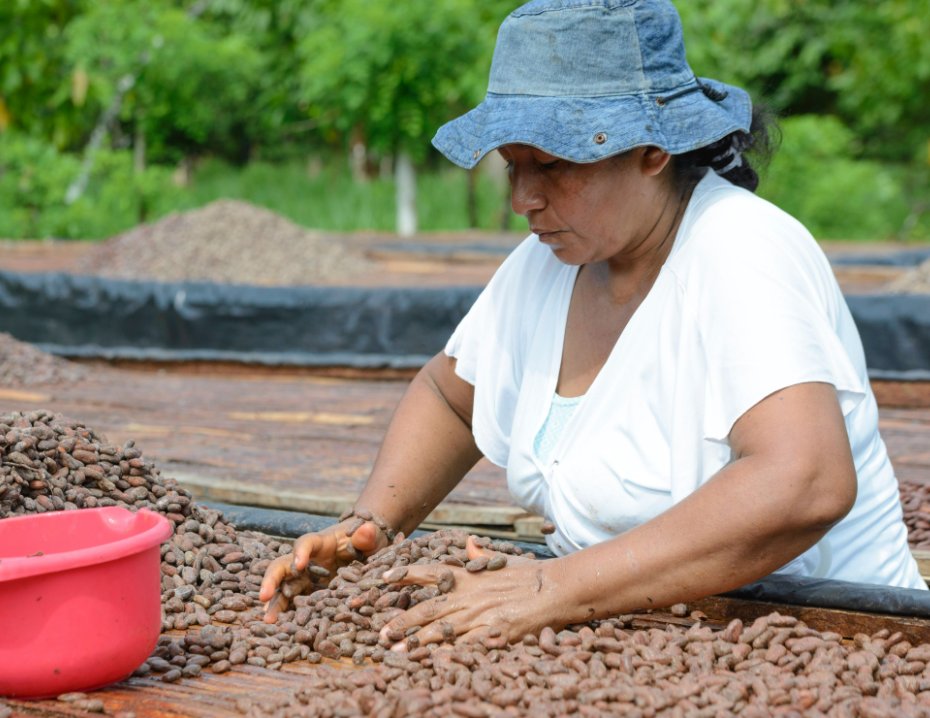 We were THRILLED to see <a href="/cacaohunters/">Cacao Hunters</a> rake in the ICA awards as well as Tumaco win 5 awards! Congrats to incredible farmers like Dona Blanca, the teams at <a href="/cacaohunters/">Cacao Hunters</a> for their excellent quality control work, and HUGE CONGRATS to the chocolate makers!