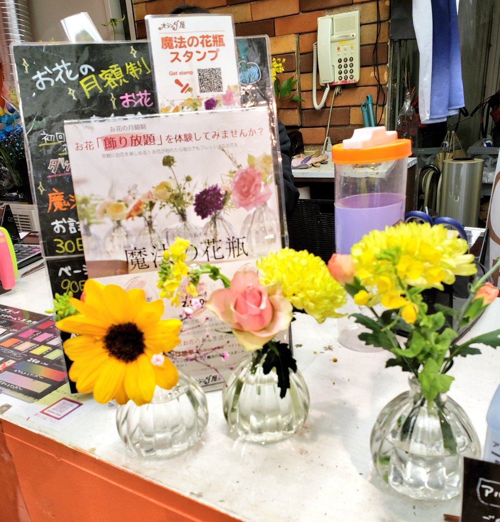 Fajr فجر オランダ屋でもお花サブスク発見 今やってる日比谷花壇のは1 987円 イクハナ 税 で毎日1本 オランダ屋は3ヶ月で2 500円 花瓶 しかも毎日花束が貰える 花材レベル落ちて小さい花瓶に合わせて切られてるのになるけど 束 そしてdl