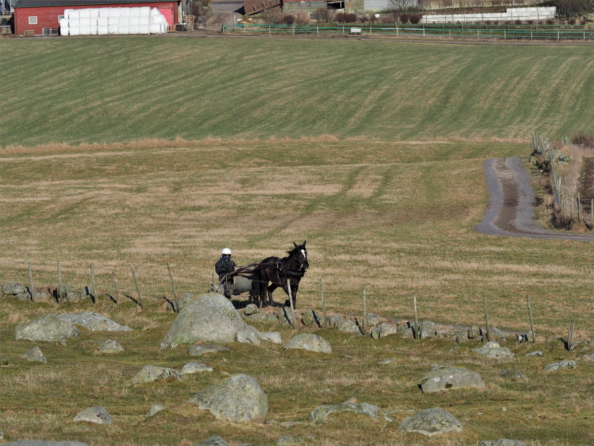 Amazing walk at Obrestad this afternoon , beautiful weather and stunning nature ❤️
Jæren Norway  9/3 2021 
<a href="/visitnorway/">Visit Norway</a> 
<a href="/ThePhotoHour/">#ThePhotoHour</a> 
#TwitterNatureCommunity