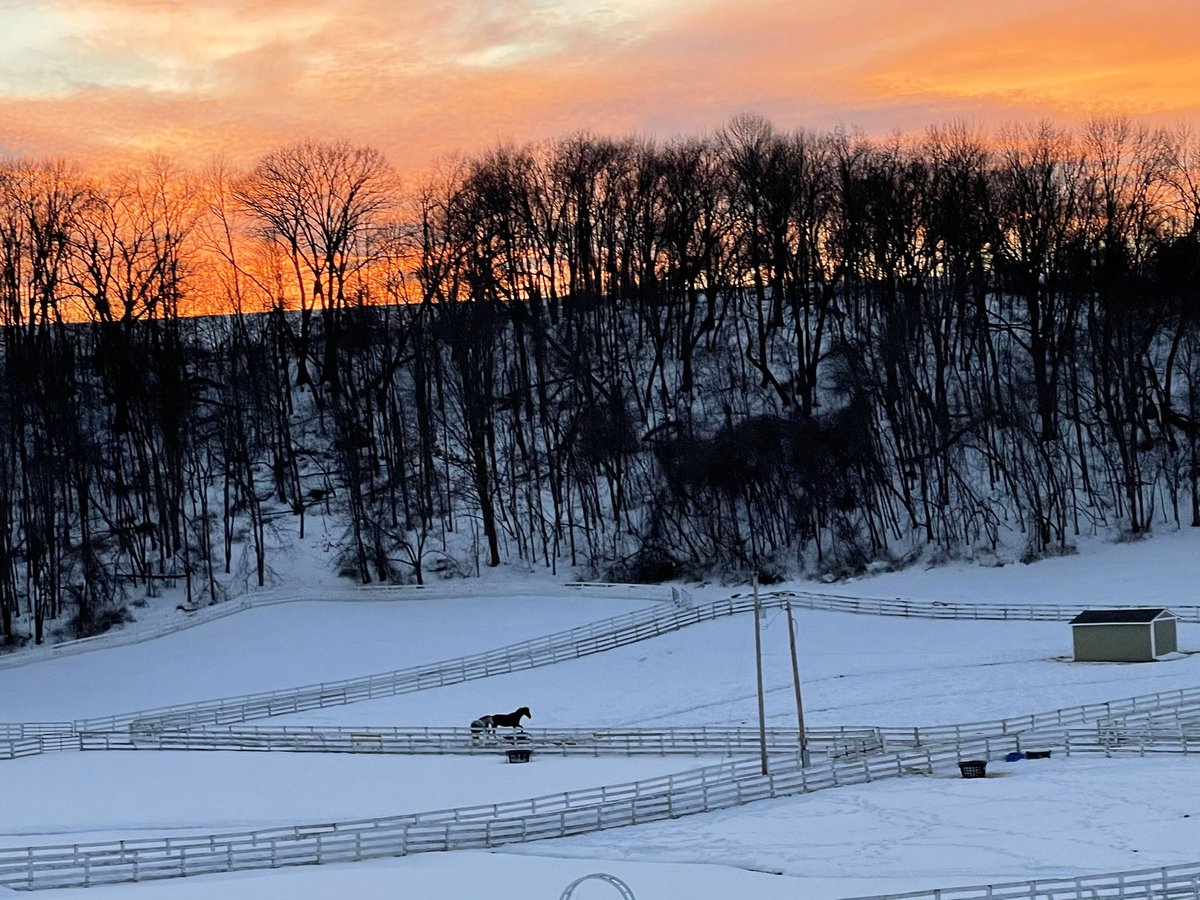LouDobbs's tweet photo. Sunset on the farm, but eager for spring #Dobbs https://t.co/0nPVOVa7so
