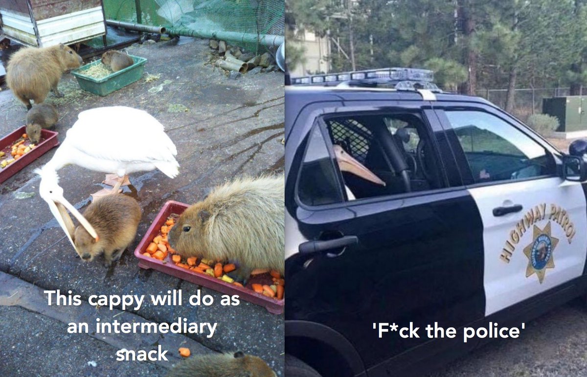 arrowgroup's tweet image. 