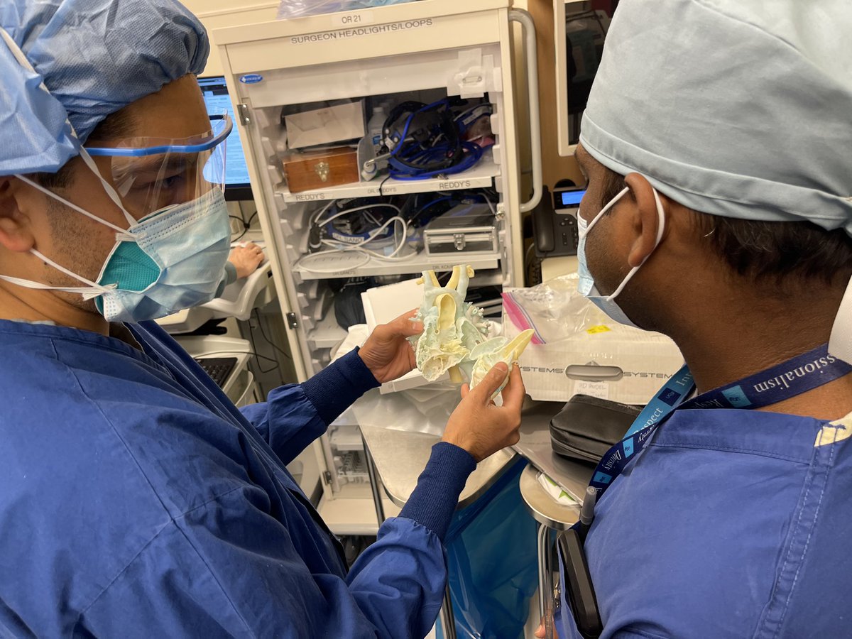 Rapid cardiac #3D modeling in action <a href="/UCSF/">UC San Francisco</a> CA3D+: 

1.  #YesCCT Thurs PM
2. #virtual surgical planning with surgeon on Friday 
3. #3Dprint model review in OR Mon AM

🙏🏽 to my amazing collaborators who make this happen! 

<a href="/UCSFChildrens/">UCSF Benioff SF</a> <a href="/UCSFHospitals/">UCSF Health</a> <a href="/UCSFimaging/">UCSF Imaging</a> <a href="/UCSFSurgInnov/">Surgical Innovations</a>