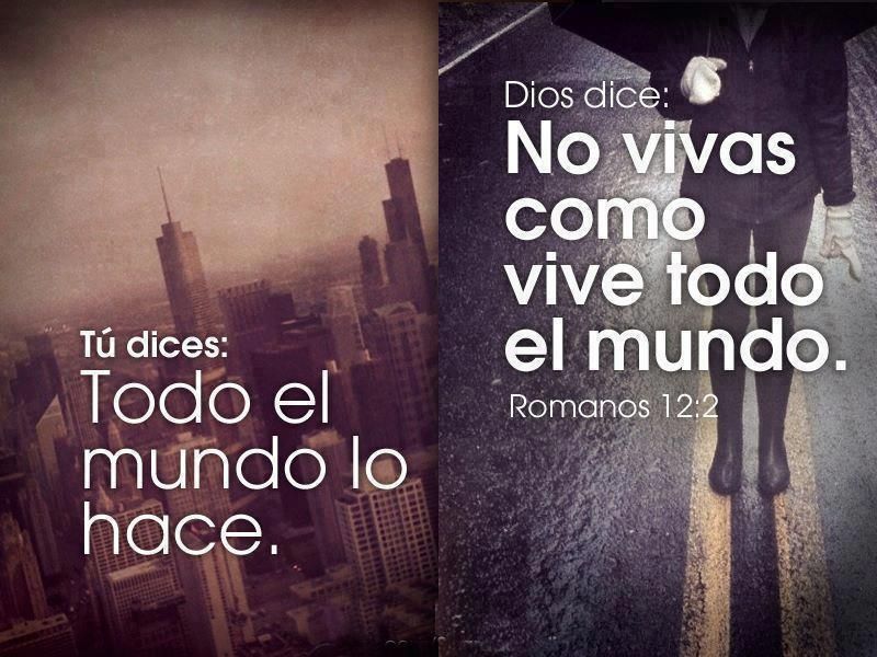 Rosa Rodríguez (@rosarod98924642) on Twitter photo 