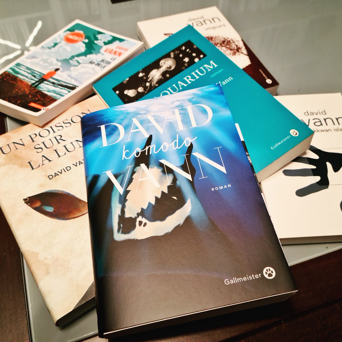 Killing79's tweet photo. Pour mon plus grand plaisir, l'univers de David Vann s'étoffe avec "Komodo", sorti le 4 Mars 2021.

Merci aux éditions @GallmeisterHL pour cette prochaine lecture!

#davidvann https://t.co/z9MPcZBi0U
