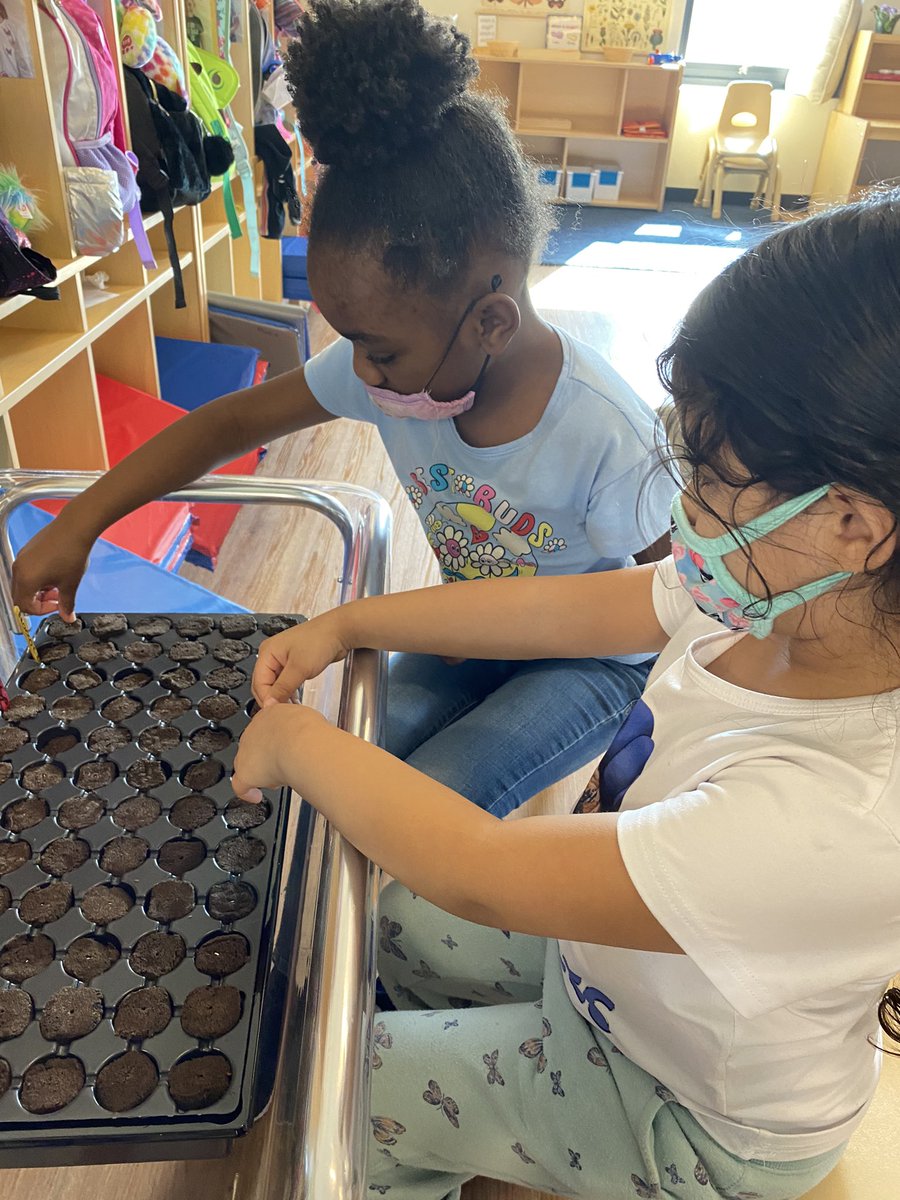 robyn hagerman (@robynhagerman) on Twitter photo Today we are getting our inside seeds planted. Fulbright kids are labeling, counting, and learning about seeds. Thank you <a href="/Foundation4SPS/">Foundation for SPS</a> Today we are getting our inside seeds planted. Fulbright kids are labeling, counting, and learning about seeds. Thank you <a href="/Foundation4SPS/">Foundation for SPS</a>