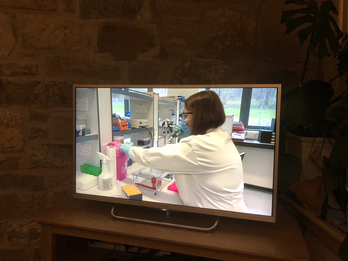 p_saunder's tweet photo. Great coverage on BBC news of the clinical trial being led by @horne_research at @exppect https://t.co/6y7F9EBQyG