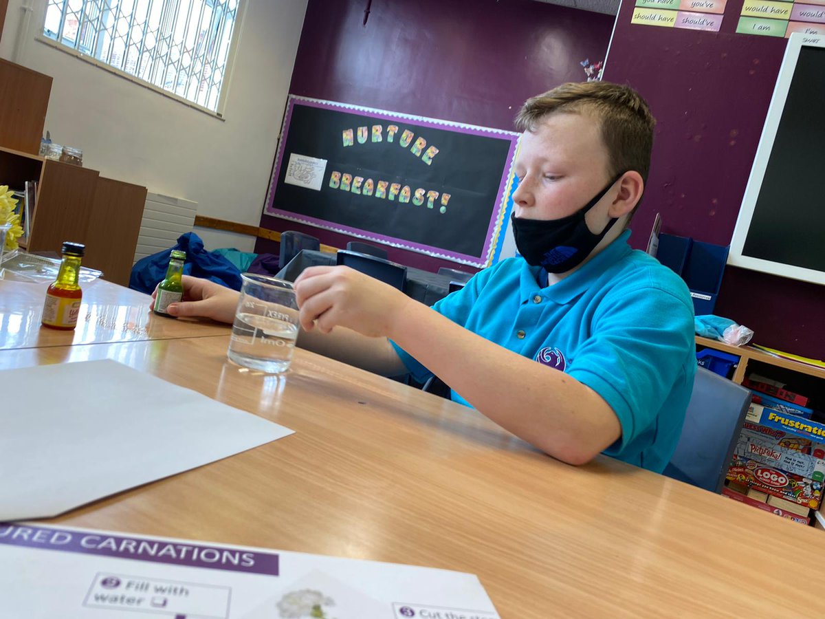 PhoenixHousePRU's tweet image. British Science Week

Students in KS3 took part investigating transpiration in plants! They added the dye to the water and added it to the flowers! 

Find out tomorrow to see the flower before and after!

#BSW21 #science #thisisap