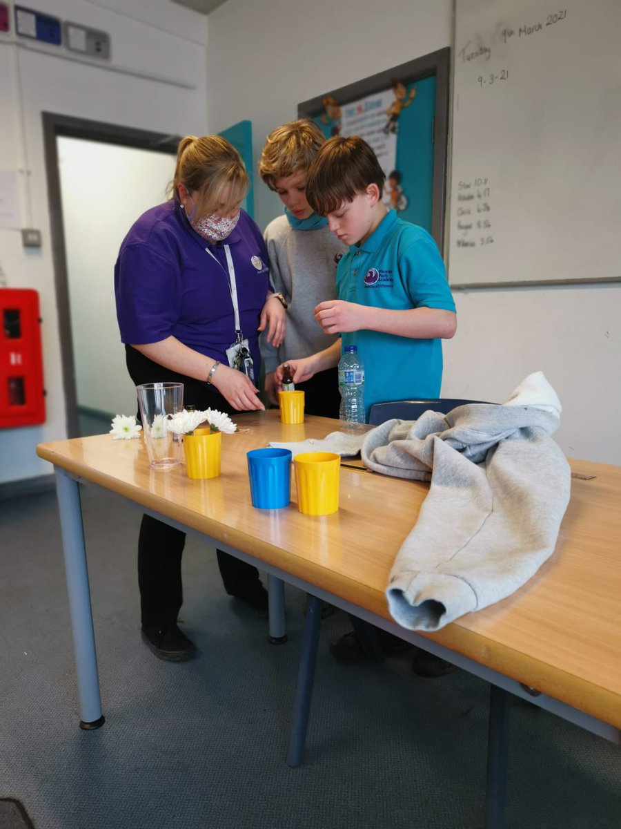 PhoenixHousePRU's tweet image. British Science Week

Students in KS3 took part investigating transpiration in plants! They added the dye to the water and added it to the flowers! 

Find out tomorrow to see the flower before and after!

#BSW21 #science #thisisap