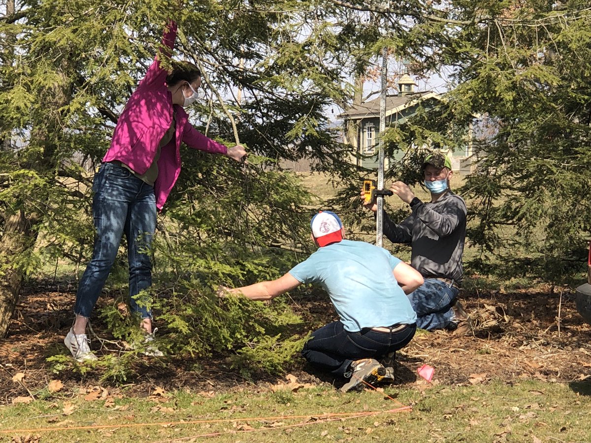 landscape_ohio's tweet photo. When the plants get in the way, call on your friends to help! #landscapeclass #estimatingclass #ohiostateATI #CFAESWooster #professorlife https://t.co/paMrwjHQg2