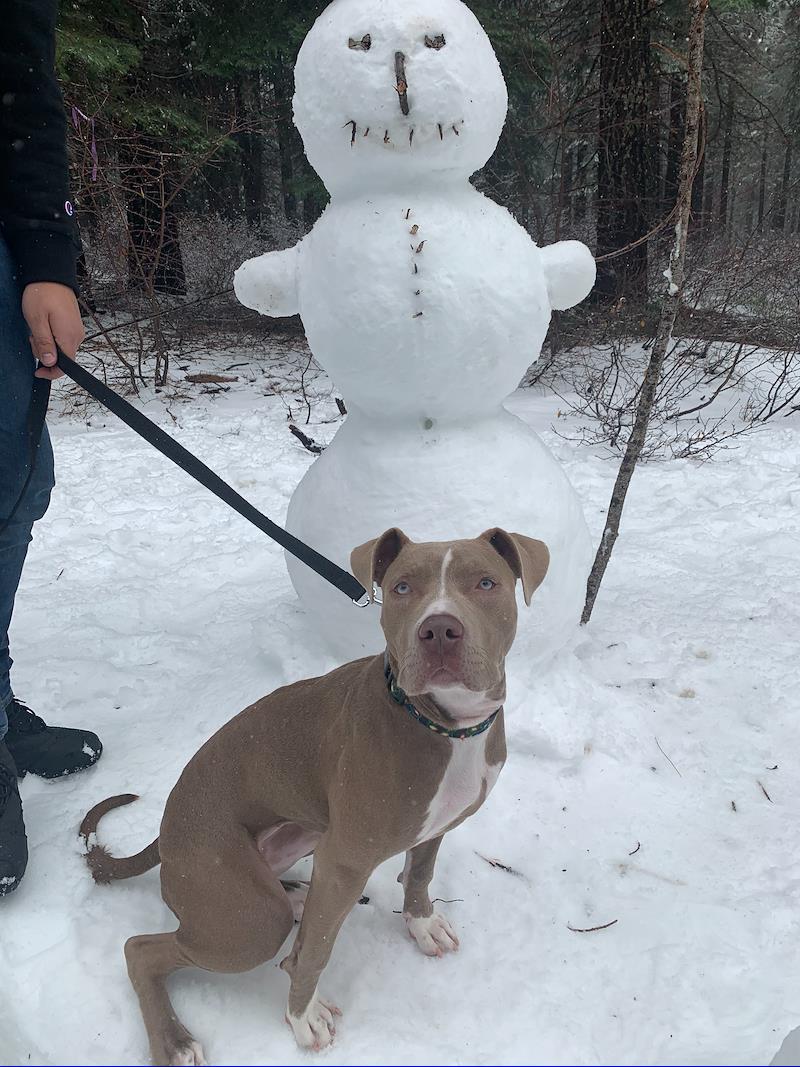 Hansen1396's tweet photo. I’m a finalist in Whitney Peak Hotel’s Story Contest. Help me rally votes: https://t.co/388y6eitlN @WhitneyPeakReno https://t.co/7XQ18C9gsG