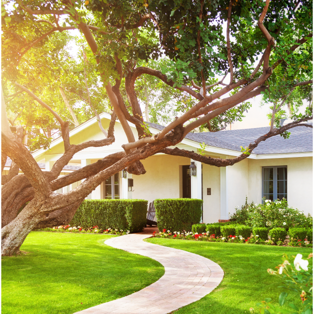 SMUDUpdates's tweet photo. Along with the Sacramento Tree Foundation, we've planted 600,000+ shade trees. #Trees cool our homes, beautify our neighborhoods, clean the air and store #carbon. This week is #CAArborWeek, but we celebrate trees all year. Get your free trees at https://t.co/ExDCvWUs5j https://t.co/1mAHCvm9mV