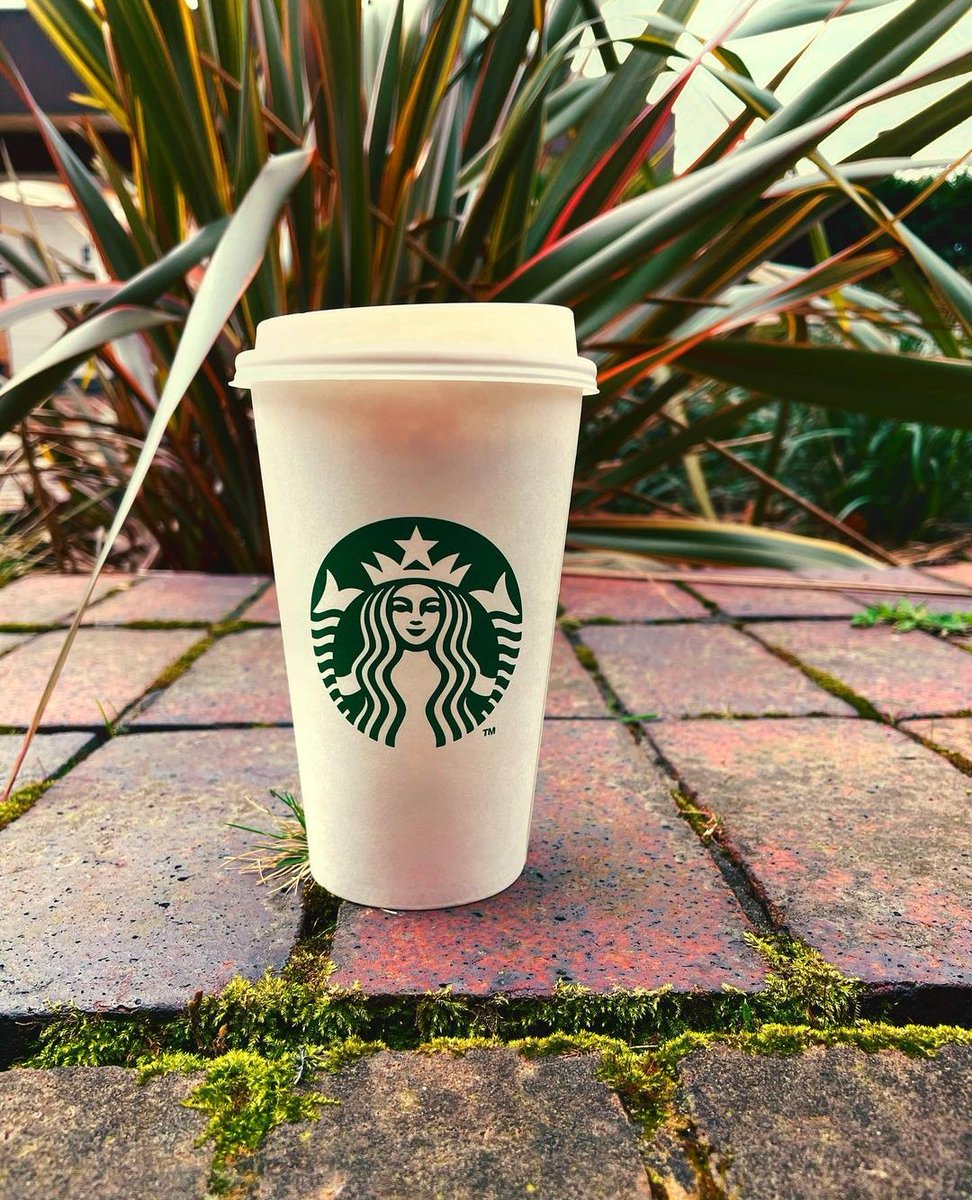 LBMarriott's tweet image. Starbucks in the morning is very essential! ☕

📸: j_photography_h_ #LBMarriott #Starbucks #MorningRoutine #CoffeeLover #EnergyBoost #Happy