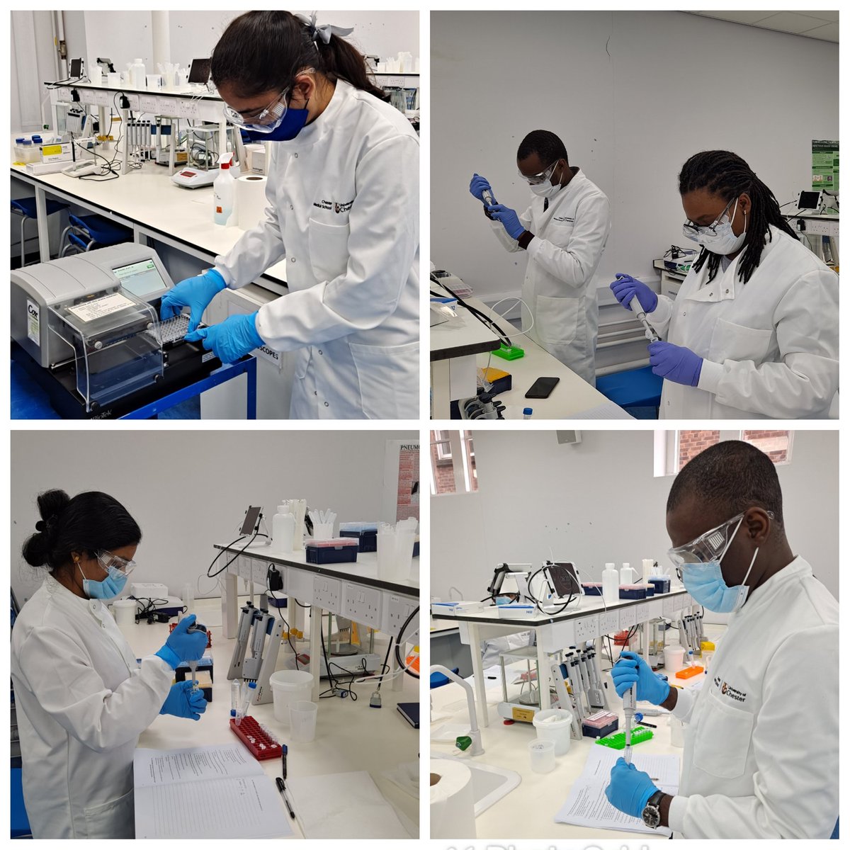 M_Cordingley's tweet photo. Another great day in the labs with @UoCMedSchool MSc students! 

#MD7002 @uochester @UoCInter https://t.co/DPVWH9FQbf