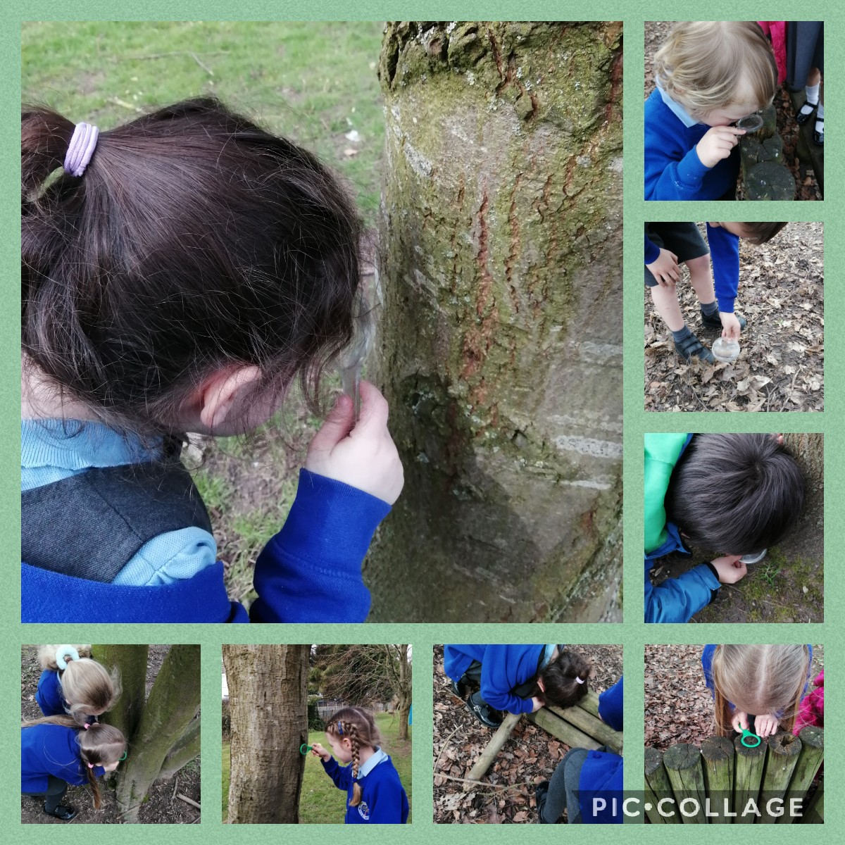 TarvinPrimary's tweet photo. Busy searching for insects to inspire our #BritishScienceWeek Robobug designs. Donaldson class really are super scientists! #tarvinscience 🦋🐜🐝🐞 #BSW21 https://t.co/it604PYaYH
