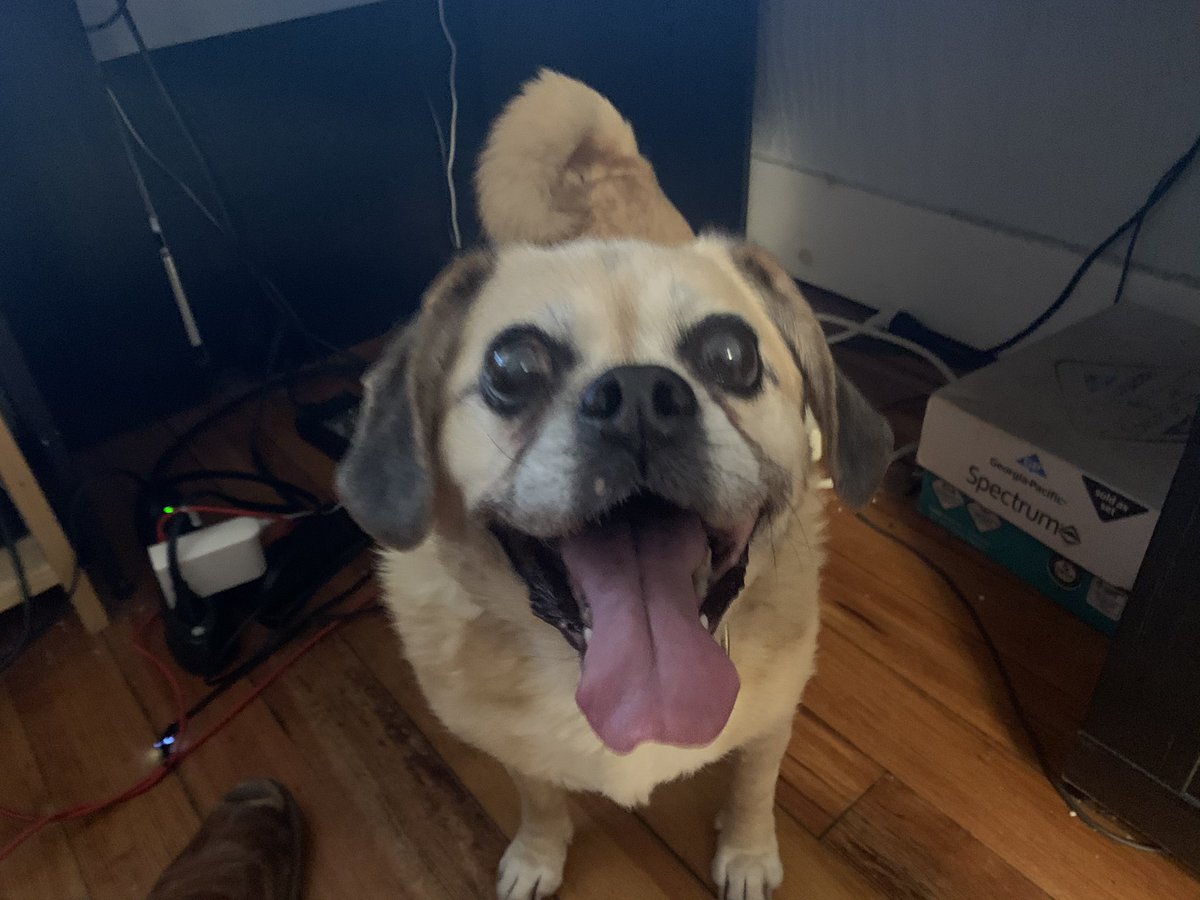 Erin Tiernan tweet media