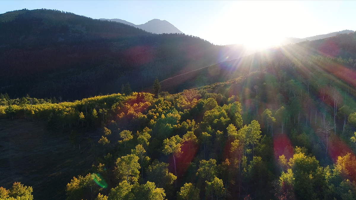 You're about to overcome something you've been dealing with. Your mind and heart will be at peace again. Be patient with yourself.

#spiritualmessage #nature