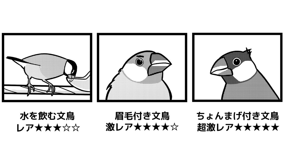 文鳥さんのレア度表が公開 眉毛にちょんまげ あなたのぶんちょのレア度はいくつ 文鳥まとめ Togetter 文鳥さんのレア度表が公開 眉毛にちょんまげ あなたのぶんちょのレア度はいくつ 文鳥まとめ Togetter