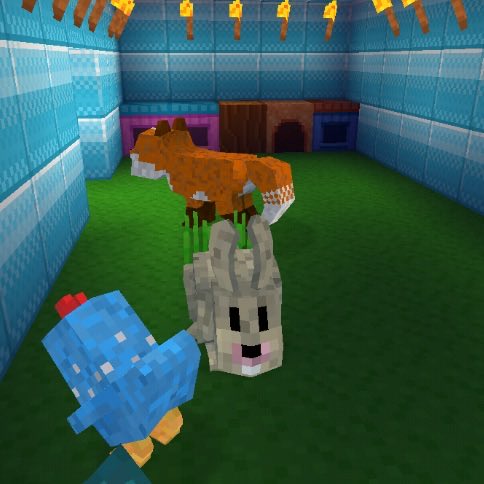 #blockcraftfchj. Nkhch.  blockcraft.co/mAioYWn66