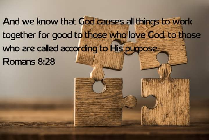 StPcusa's tweet image. #lifeverse #scripture Romans 8:28 #tinybutmighty #Moclips #PacificBeachWA #GraysHarbor #NorthBeach #HiddenCoastScenicByway #WACoast #PCUSA @Presbyterian #millenials #GenX #BabyBoomers #SilentGeneration #GENERATION_Z #open #tuesdaymotivations #staysafe #stayhome #COVID19