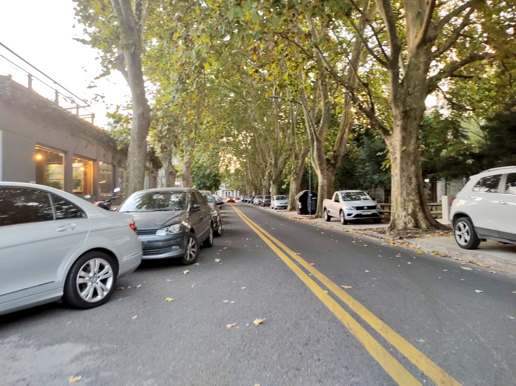 alez_arg's tweet photo. PIRI LIS CICLISTIS!!!!

#VEREDONGA #AUTONGA
#Belgrano https://t.co/8a3ivEgJ5k