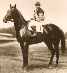 JulD22's tweet photo. The grandsire of Seabiscuit was Man O' War. Man O' War is one of the greatest racehorses of all time and can be found in the pedigree of nearly every modern champion.
#WSKGScience https://t.co/EEtx6OIRIU