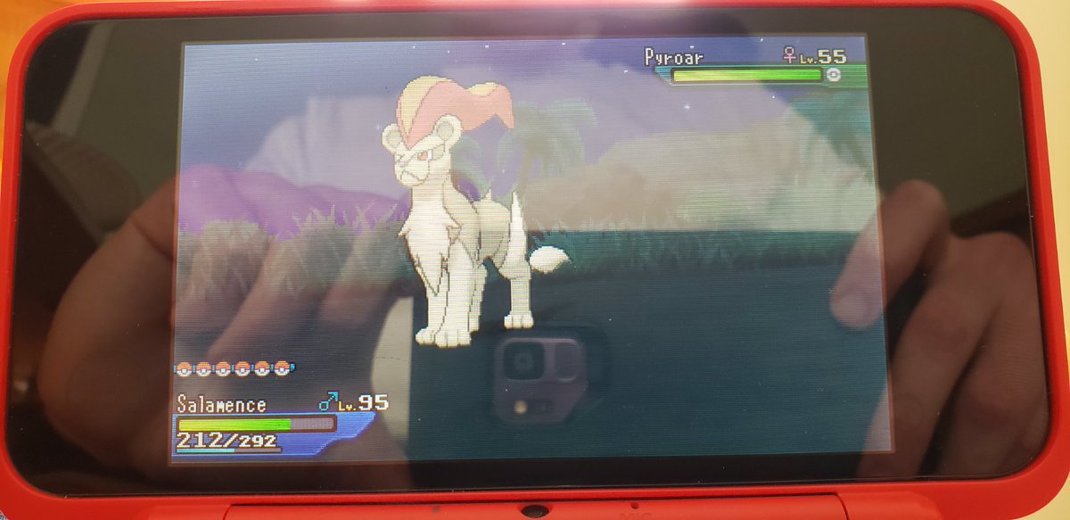 CovertChristo's tweet photo. Full odds #shiny Pyroar while doing random encounters in Poni Plains to grind EXP. Maybe today won't be so bad after all 😁 https://t.co/bfBtkCAPDd