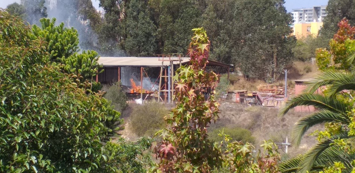 magrubi1's tweet photo. @quilpueciudad otra imagen del incendio en la maestranza en Paso Hondo. Afectó parte del bosque que deslinda con Condominio Sol de Valencia https://t.co/wodZYyCi8X