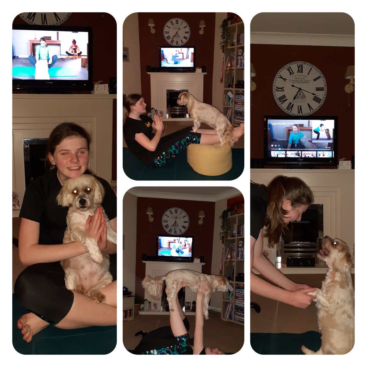 AliCarr64366698's tweet photo. So Doga was day 9 of Hannah's #DevonVirtualGames 30 Day Fitness Challenge...nailed it!🧘♀️🐶 @DanJonesPE @TA_PEdept @jazzwalklinxx @TeamTA_Sport https://t.co/2omh9JooIU