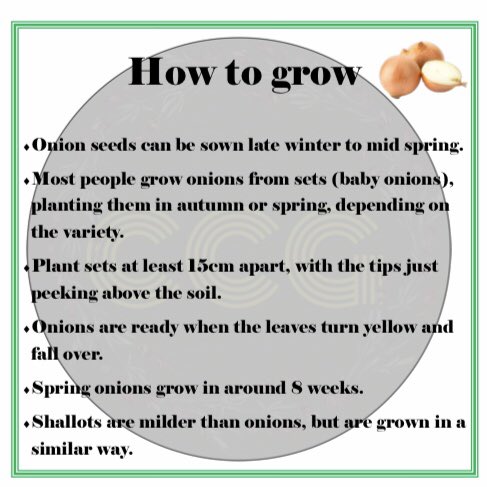 croxtethgarden's tweet photo. Crop of the week: Onions 

How do you eat yours?
Add any tips, facts and recipes below!

#cropoftheweek #growyourown #freefood #community #communitygarden #onion #onions #springonion #righttofood #liverpool #l11 #croxteth #yum https://t.co/4Mm727FeiV
