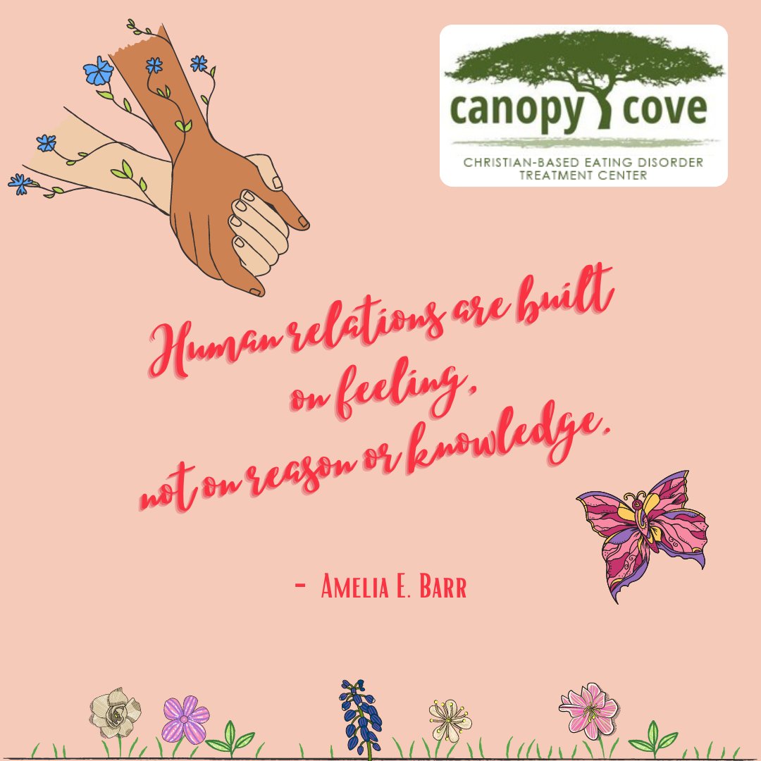 Canopy Cove (@canopycove) on Twitter photo 
