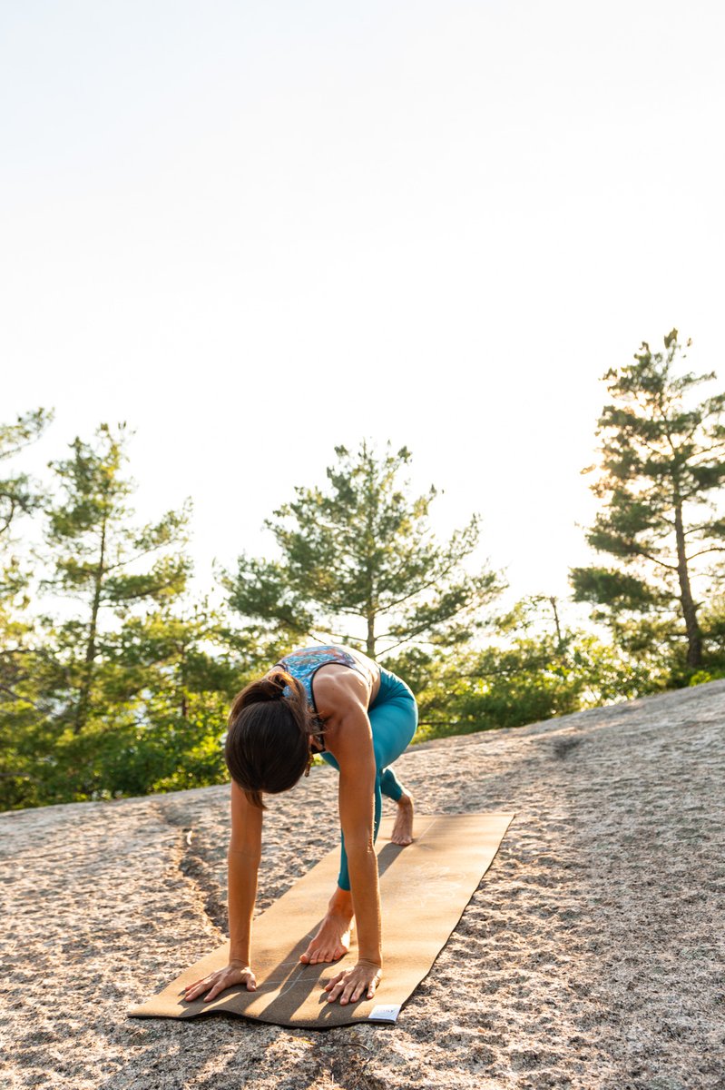No matter how high you've fly in your life, always stay grounded. Don't let success and money get into your head. Stay humble, humane, and civilized.