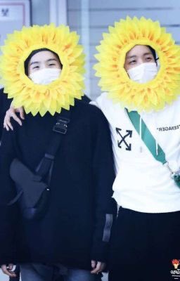 tiny_bts1's tweet photo. Tiny sope. They are so cute🤏🏼😩😍🥰 #bts #SOPE #suga #JHOPE https://t.co/AbsImOgVxj