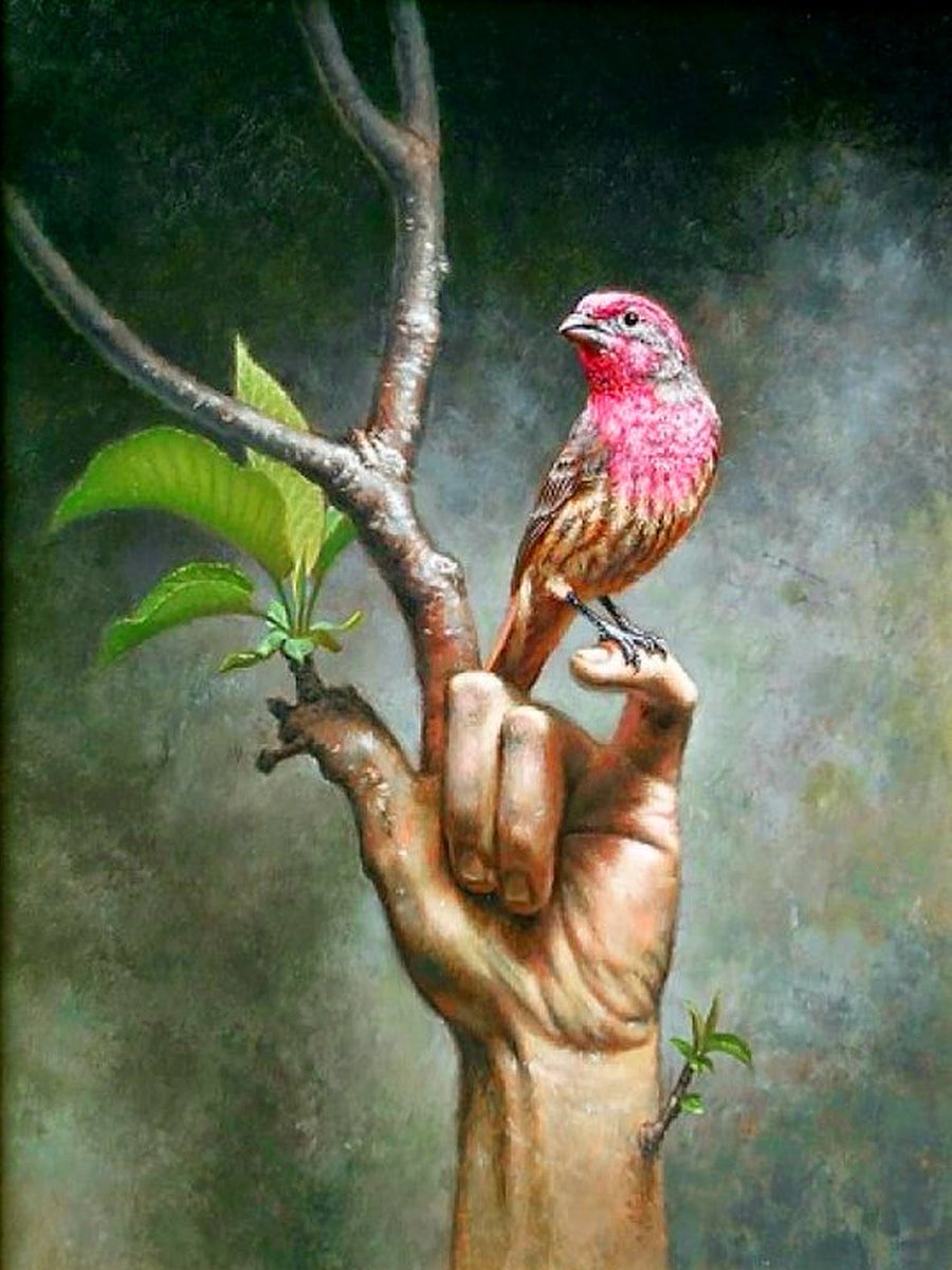 Global_Beat's tweet photo. Keep a green tree in your heart and perhaps a singing bird will come.

~ Chinese Proverb
~ Steven Kenny 
https://t.co/NcIPhtUfHf https://t.co/fJRpXxoSfu