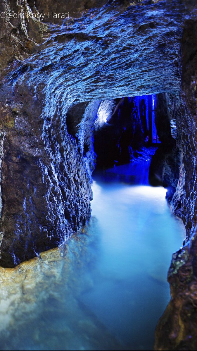 cityofdavid's tweet image. 💧Answers to #CityofDavid #TriviaTuesday 💧

1) The #GihonSpring
2) Pulsing
3) All of the above 
4) It’s still flowing 

Great job, friends!! 🏆