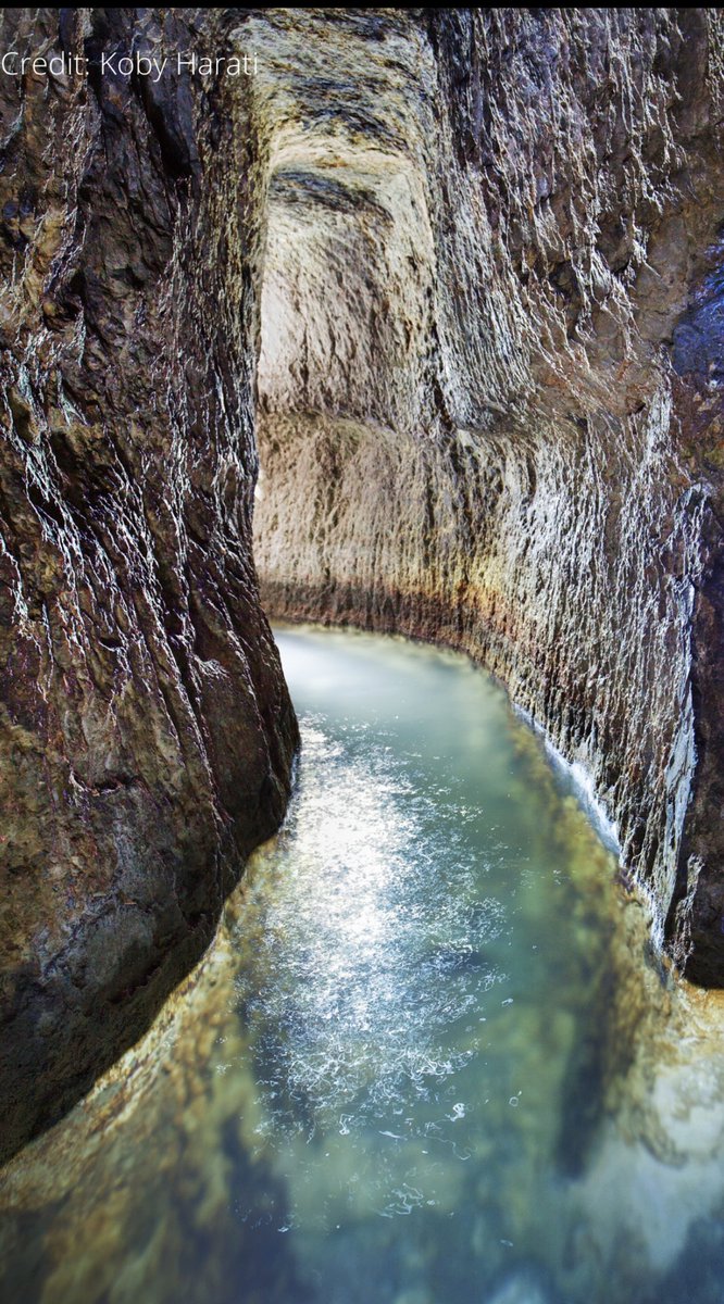 cityofdavid's tweet image. 💧Answers to #CityofDavid #TriviaTuesday 💧

1) The #GihonSpring
2) Pulsing
3) All of the above 
4) It’s still flowing 

Great job, friends!! 🏆