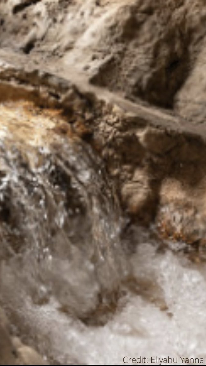 cityofdavid's tweet image. 💧Answers to #CityofDavid #TriviaTuesday 💧

1) The #GihonSpring
2) Pulsing
3) All of the above 
4) It’s still flowing 

Great job, friends!! 🏆