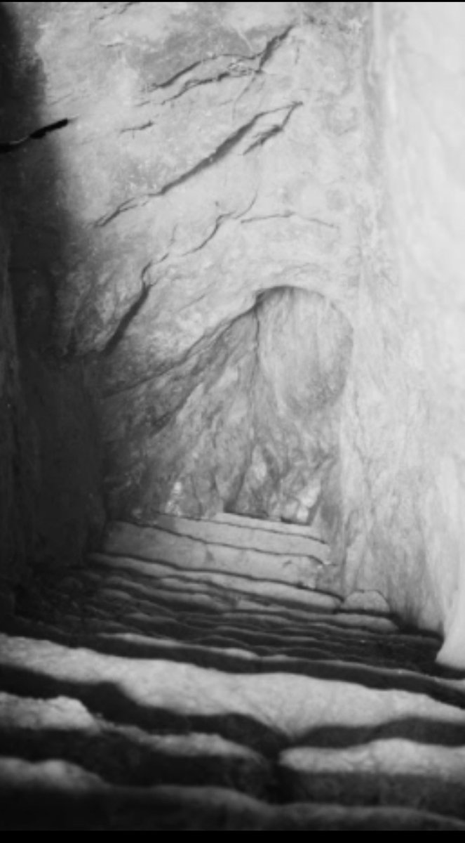 cityofdavid's tweet image. 💧Answers to #CityofDavid #TriviaTuesday 💧

1) The #GihonSpring
2) Pulsing
3) All of the above 
4) It’s still flowing 

Great job, friends!! 🏆