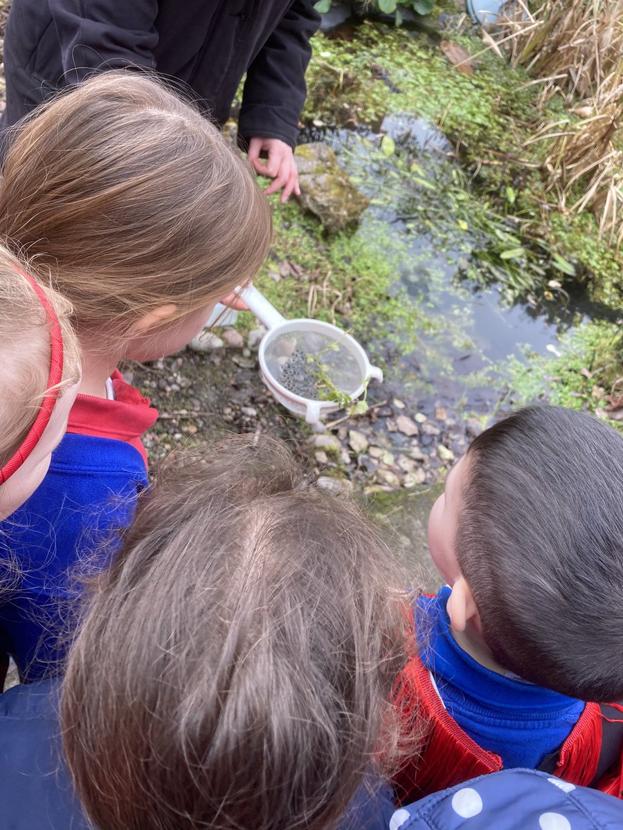 Brandlehow School tweet media